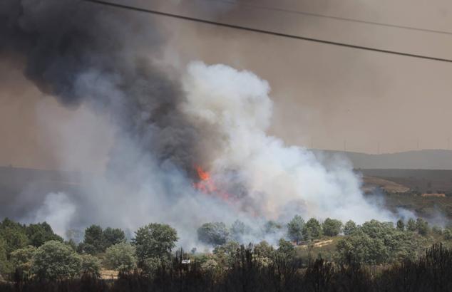 Fotos: El incendio de Losacio en imágenes