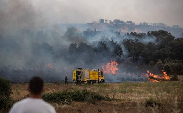 El incendio de Losacio puede haber calcinado más hectáreas que el de la Sierra de la Culebra