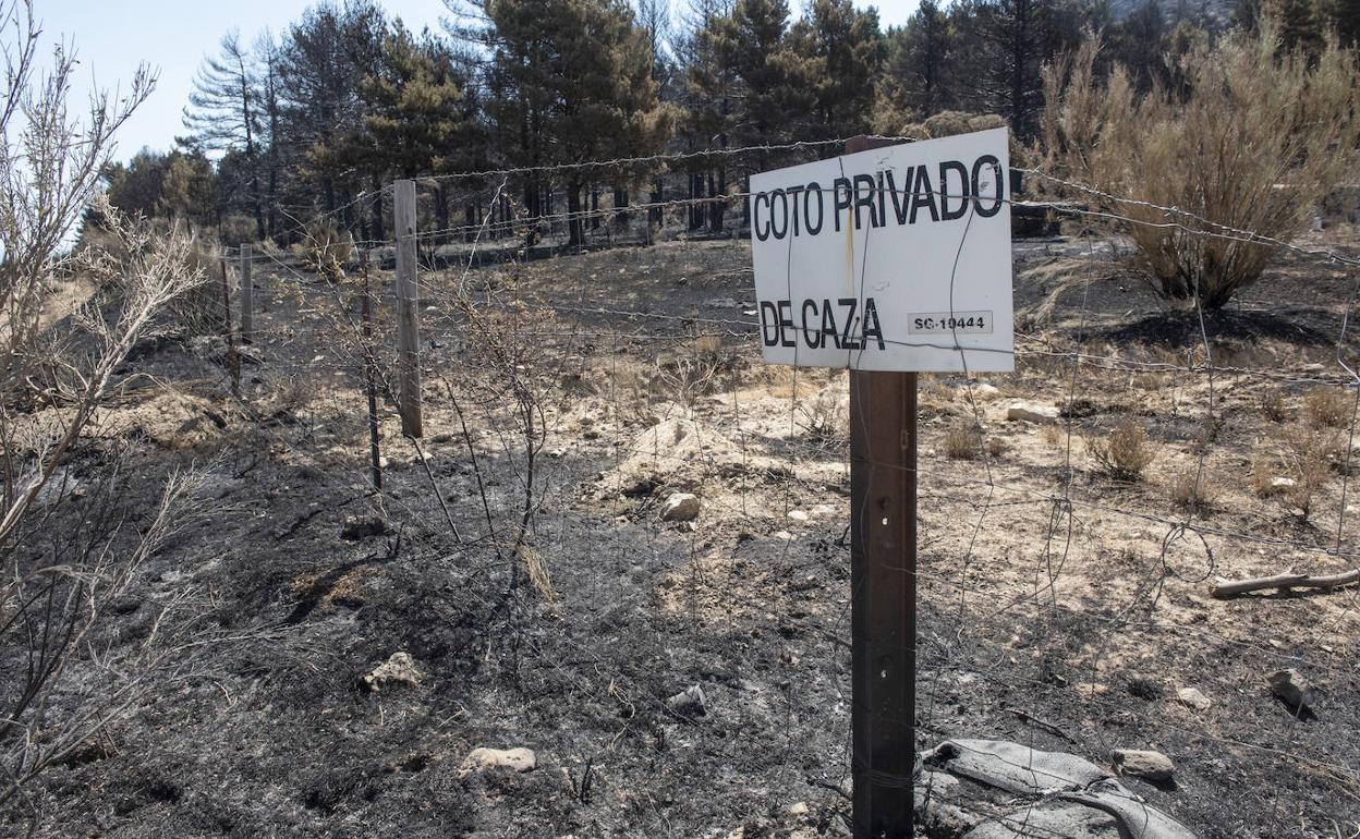 Estado en el que ha quedado una de las zonas afectadas por el incendio. 