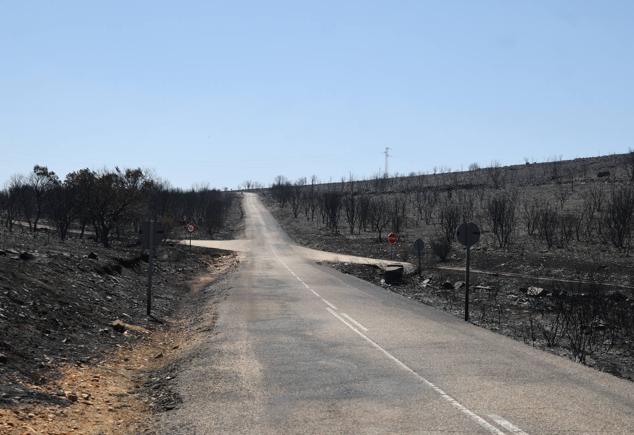 Fotos: Incendio de Losacio: Los ganaderos son obligados a trasladar su ganado