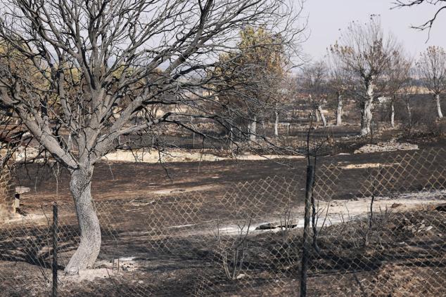 Fotos: San Martín de Tábara: El día después al voraz incendio