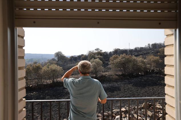 Fotos: San Martín de Tábara: El día después al voraz incendio