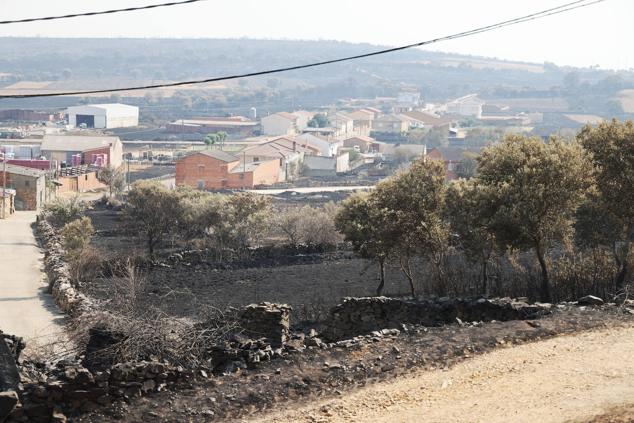 Fotos: Desolación e incredulidad de los vecinos de San Martín de Tábara al ver el paisaje