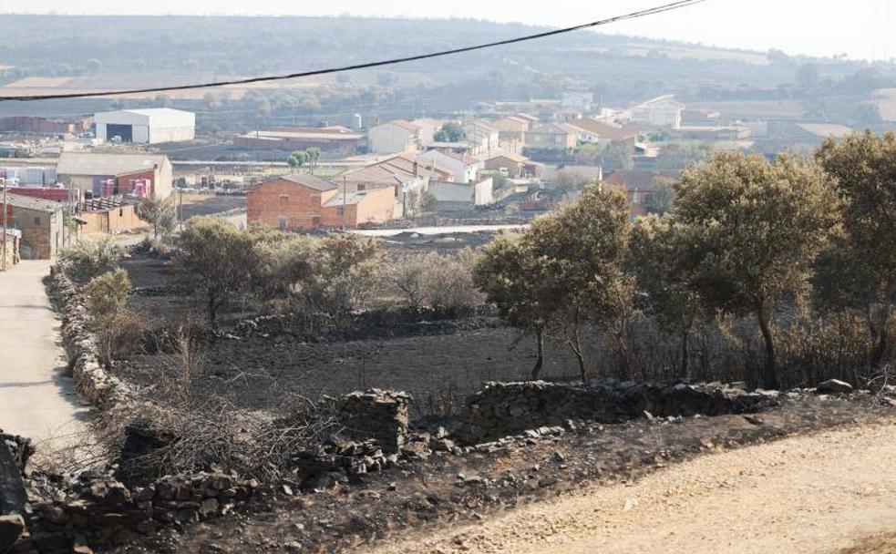 La localidad zamorana de San Martín de Tábara, este miércoles.