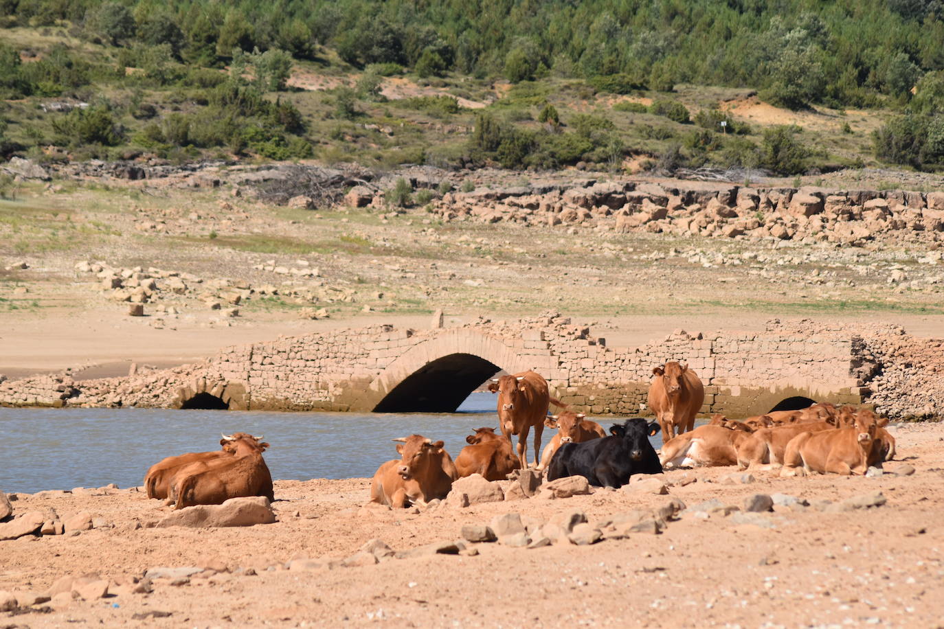 Fotos: Los pueblos inundados por el pantano de Aguilar afloran de nuevo
