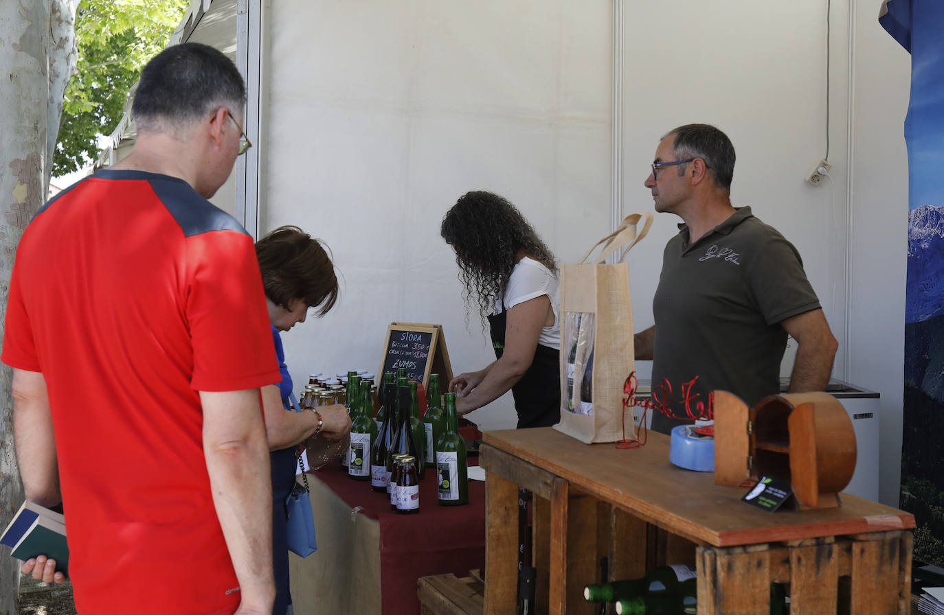 Fotos: Feria del Queso en Frómista