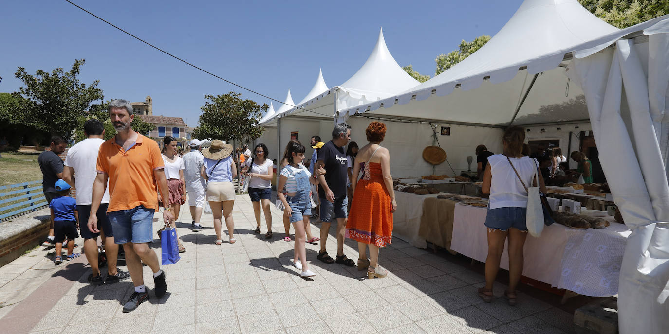 Fotos: Feria del Queso en Frómista