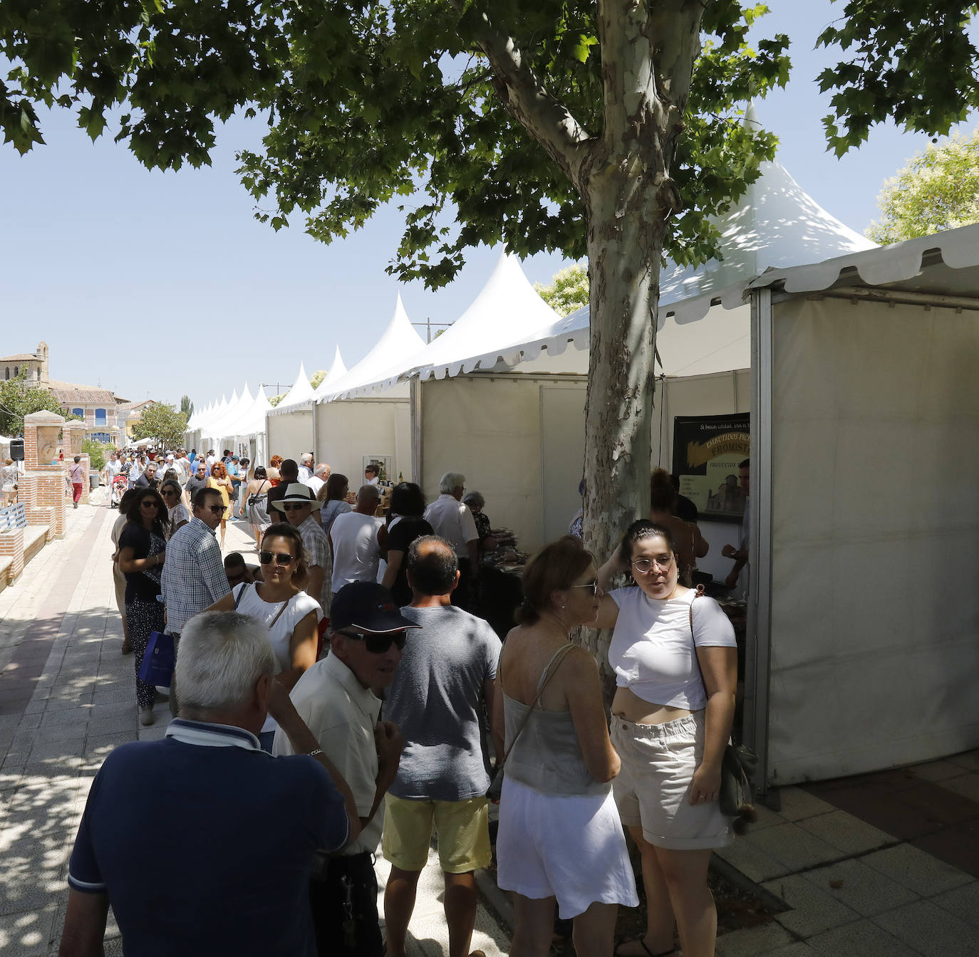 Fotos: Feria del Queso en Frómista