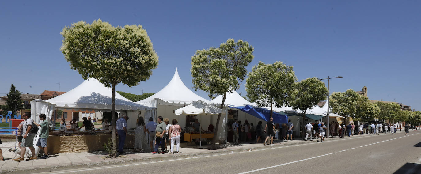 Fotos: Feria del Queso en Frómista