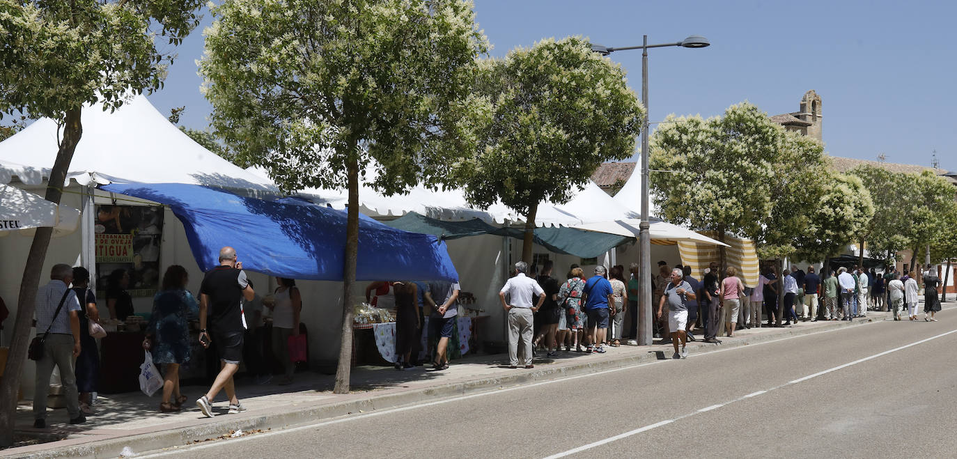 Fotos: Feria del Queso en Frómista