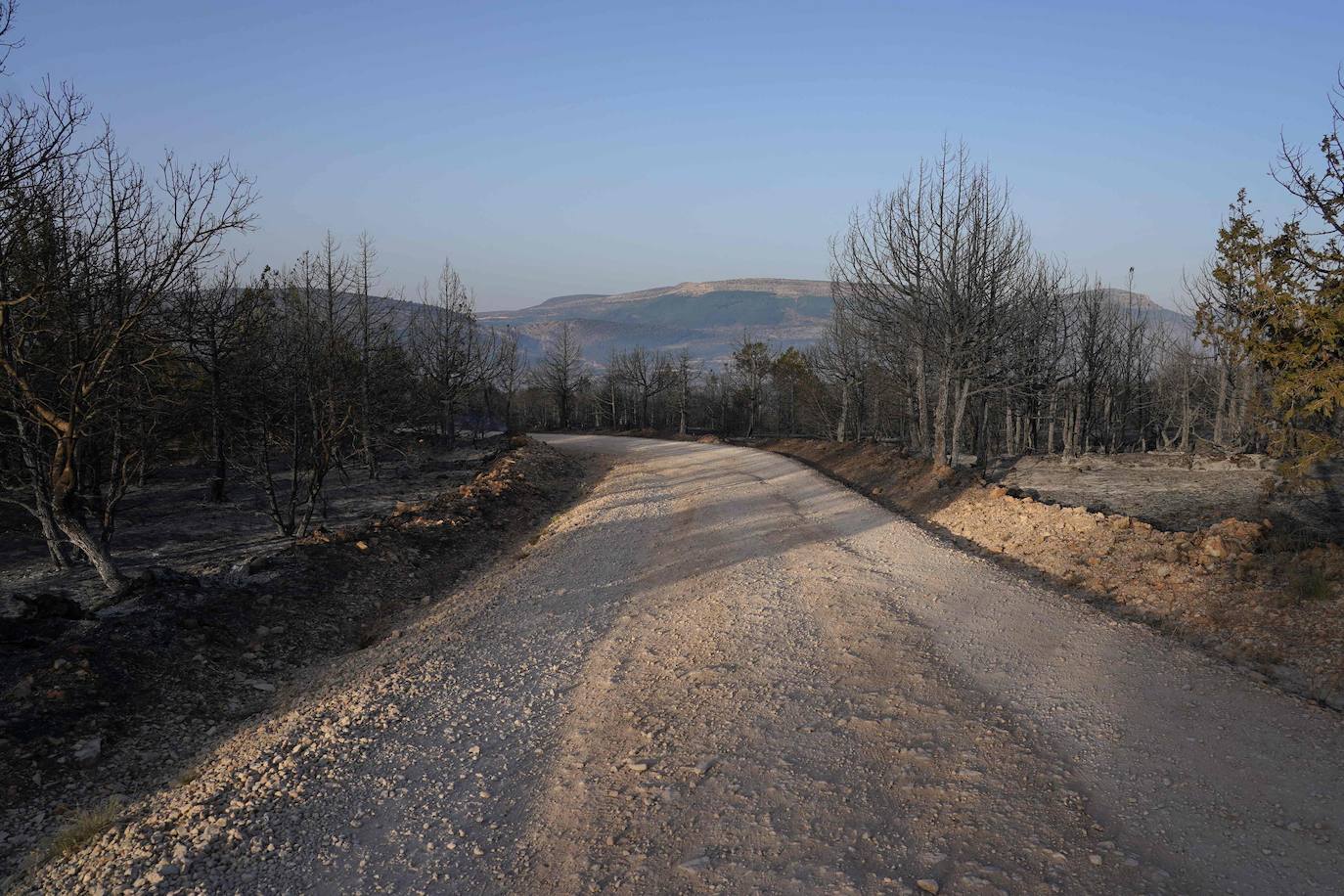 Fotos: Fuego en la comarca del Arlanza (Burgos)
