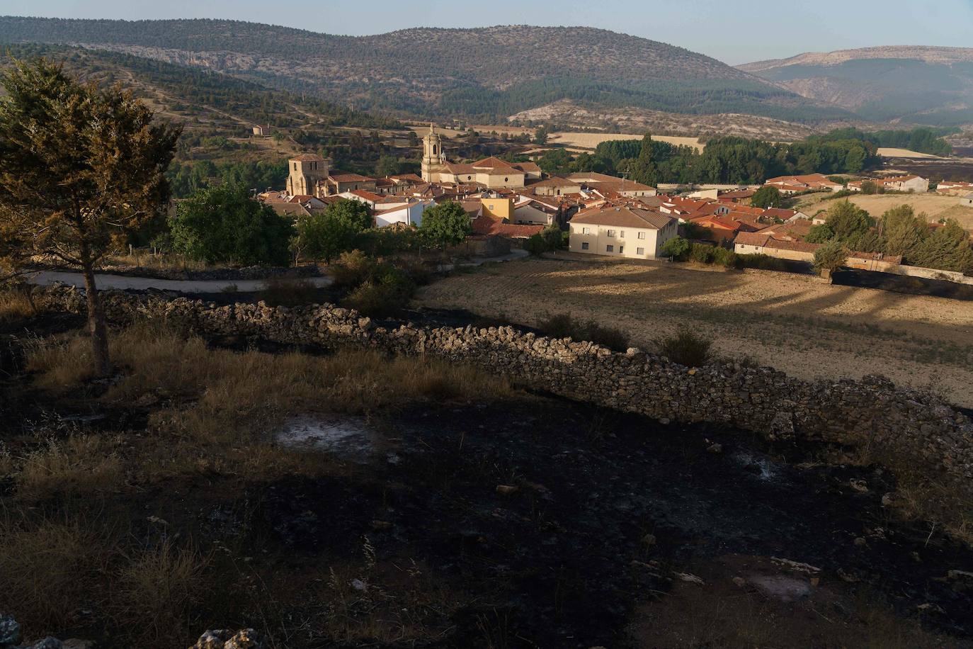 Fotos: Fuego en la comarca del Arlanza (Burgos)