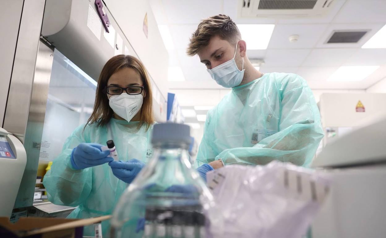 Varios técnicos de laboratorio trabaja con pruebas PCR en el Laboratorio de Microbiología del Hospital público Gregorio Marañón. 