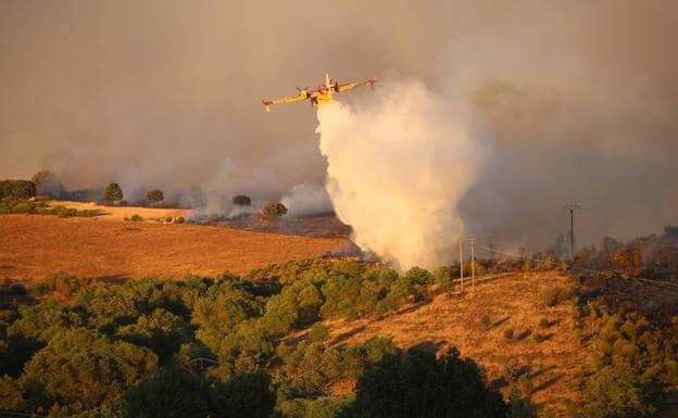 Un avión trabaja en el incendio de Losacio.