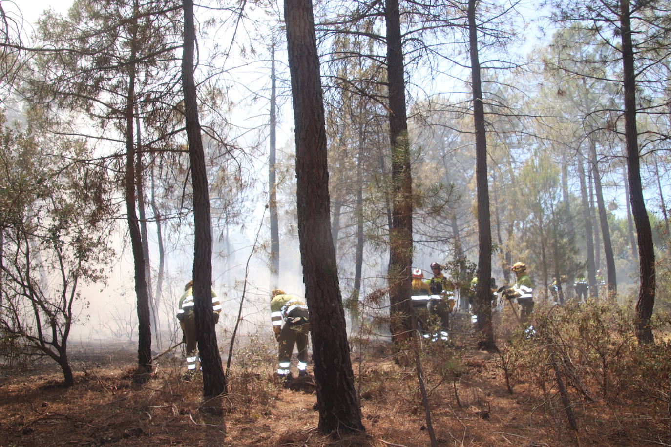 Imagen del incendio declarado en Cuéllar.