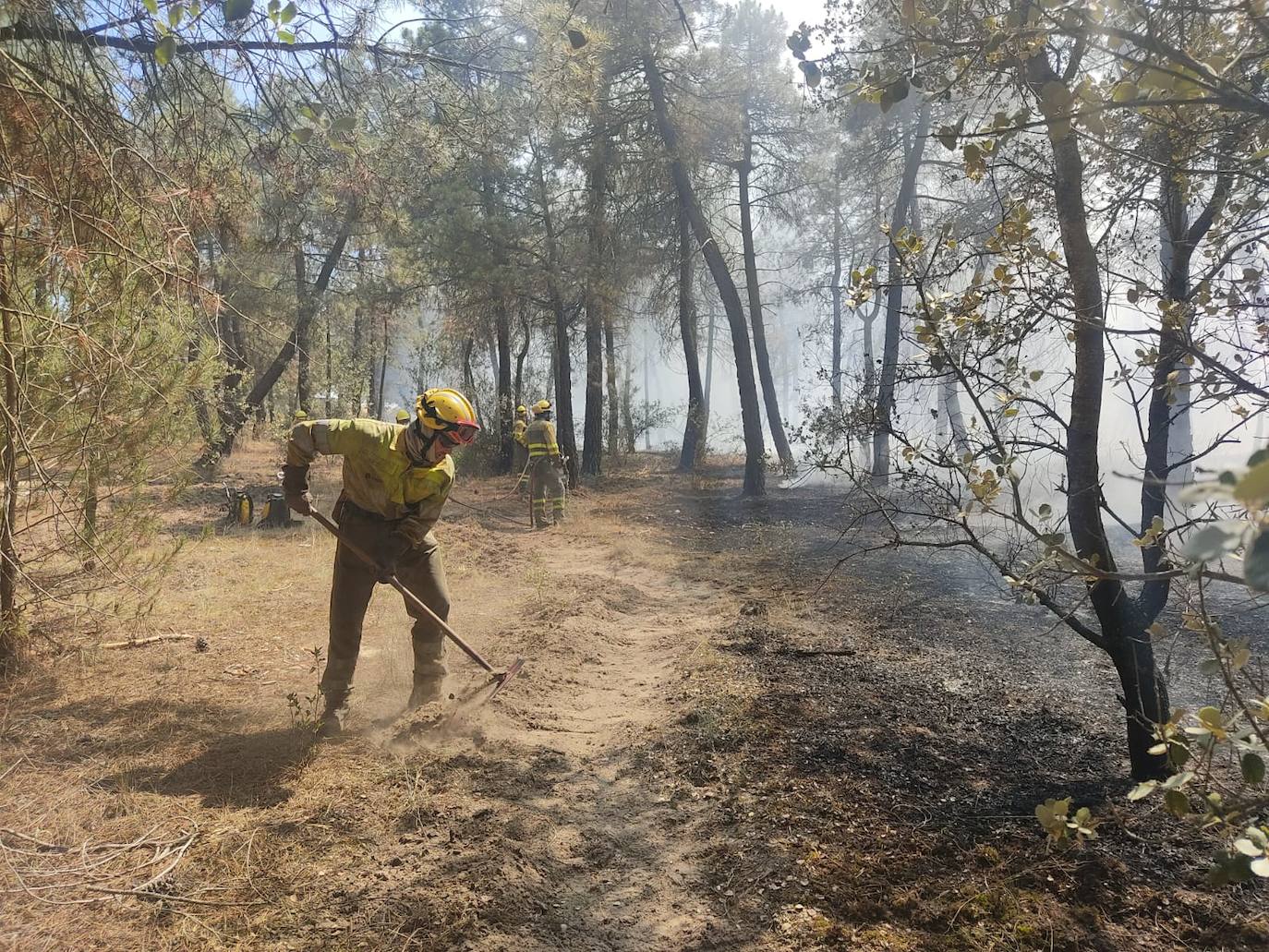 Bomberos forestales trabajan en el control del incendio.