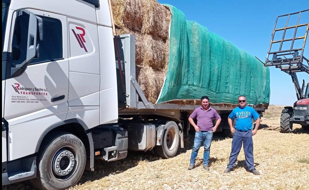 Los hermanos Javier e Iván Puerta de Torrelobatón, junto al camión cargado de alpacas 