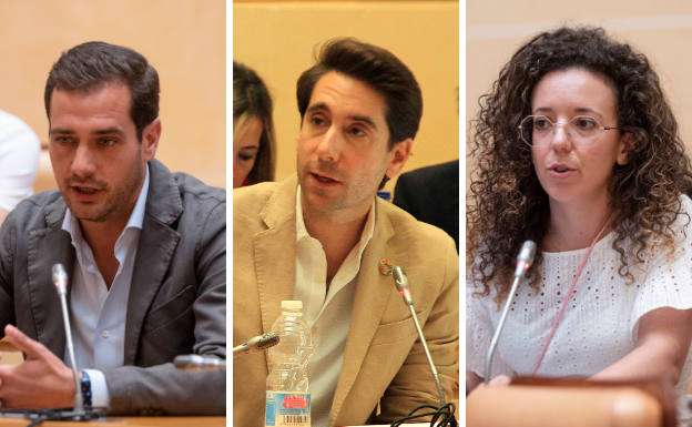 Pablo Pérez Coronado, Miguel Merino y Noemí Otero, en una sesión plenaria.