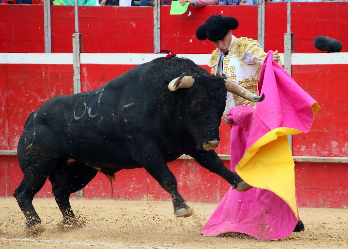 Corrida de toros en Riaza en 2019.