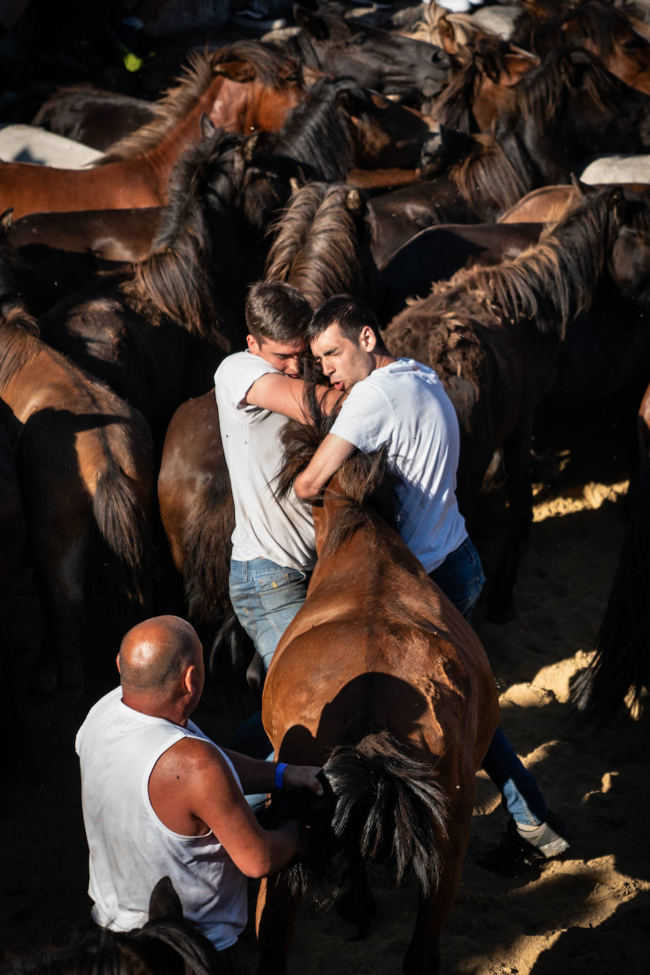 Fotos: Genuino sabor gallego