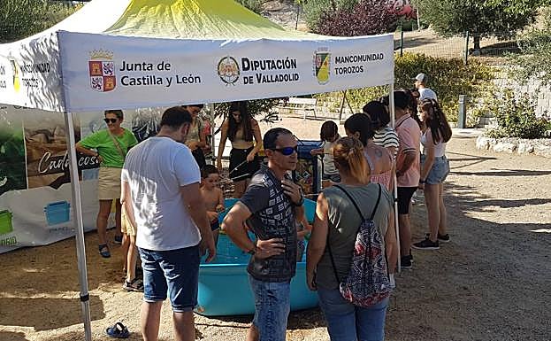 Imagen principal - Distintos momentos de la fiesta de la Mancomunidad celebrada en Velilla 