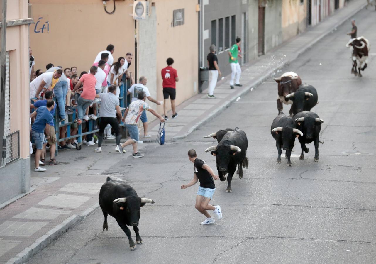 Fotos: Primer encierro de las fiestas de Íscar