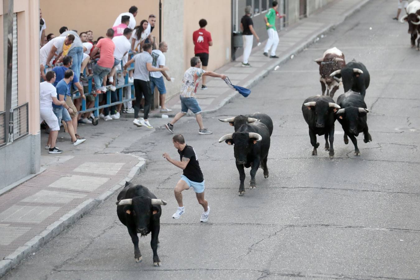 Fotos: Primer encierro de las fiestas de Íscar