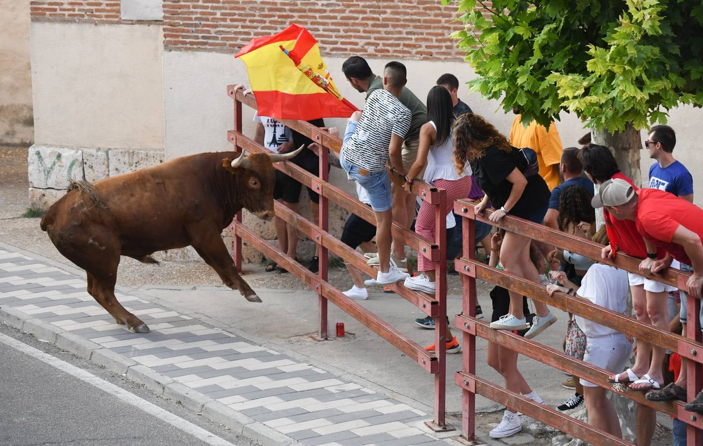 Fotos: Vuelven los festejos taurinos a La Seca en sus tradicionales fiestas de novillos