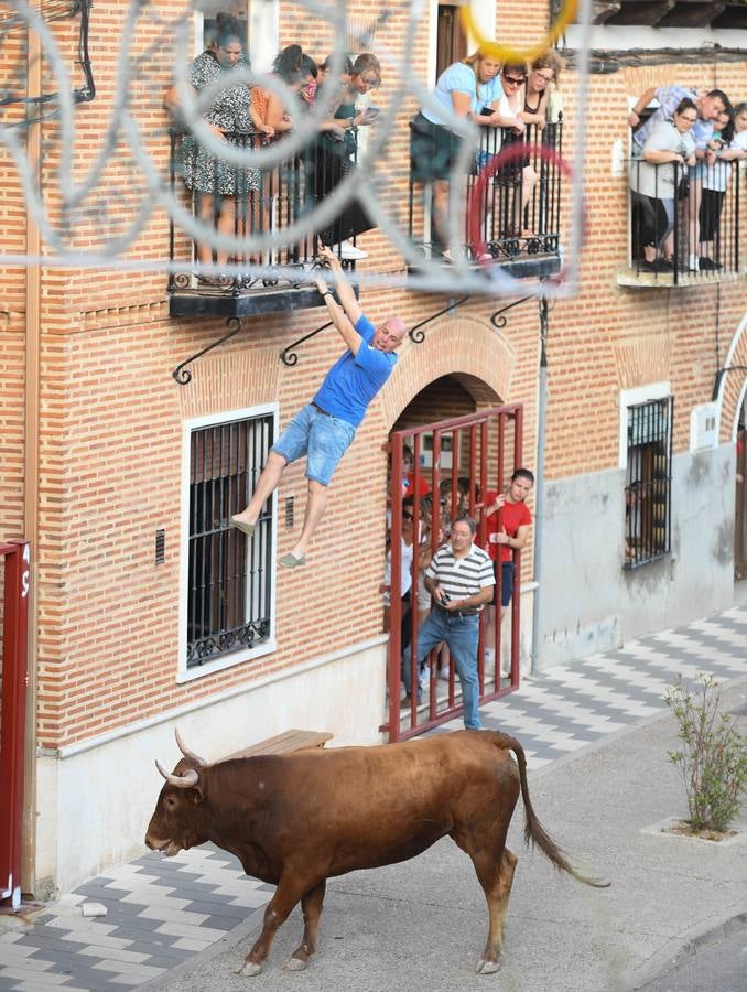 Fotos: Vuelven los festejos taurinos a La Seca en sus tradicionales fiestas de novillos