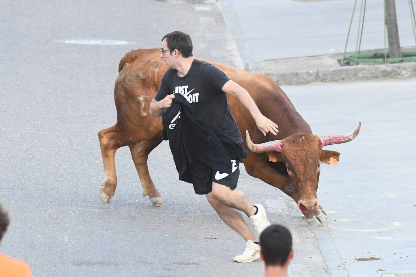 Fotos: Vuelven los festejos taurinos a La Seca en sus tradicionales fiestas de novillos