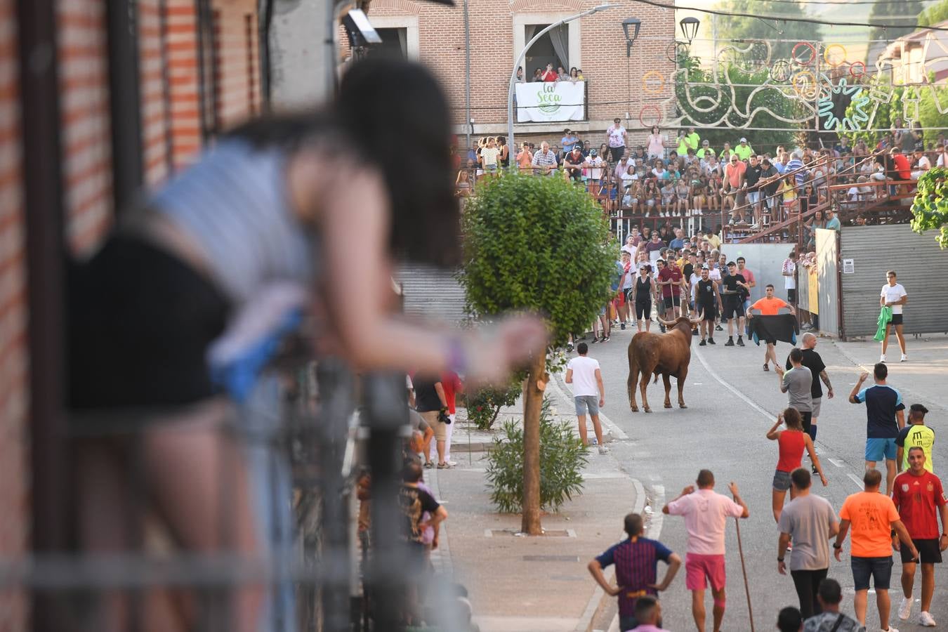 Fotos: Vuelven los festejos taurinos a La Seca en sus tradicionales fiestas de novillos