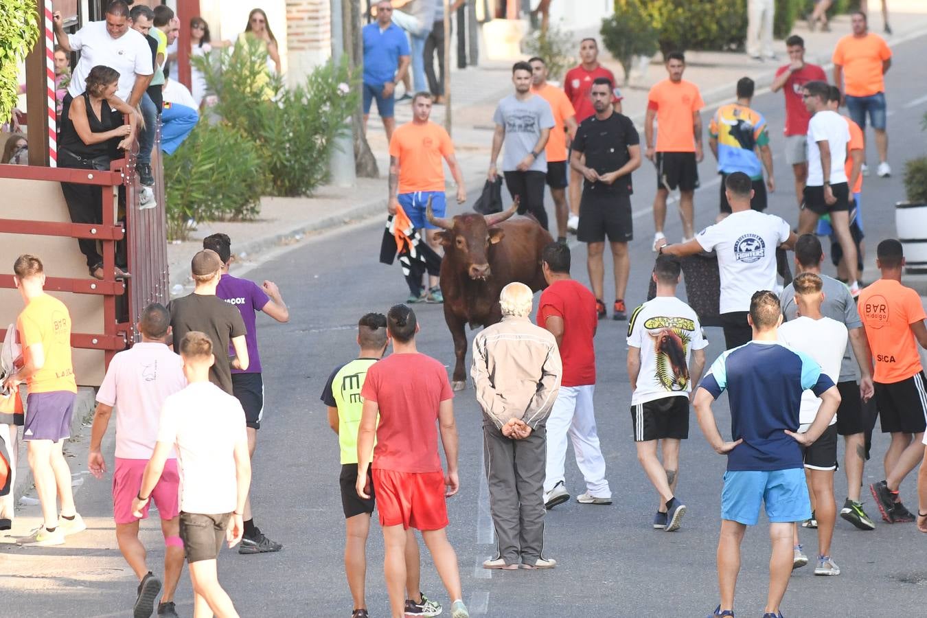 Fotos: Vuelven los festejos taurinos a La Seca en sus tradicionales fiestas de novillos