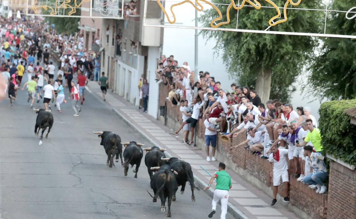 Un momento del encierro por las calles de la localidad, que fue seguido por numeroso público.