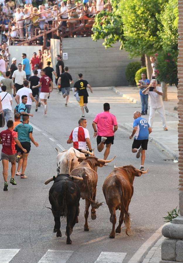 Fotos: Segundo encierro diurno de las fiestas de La Seca