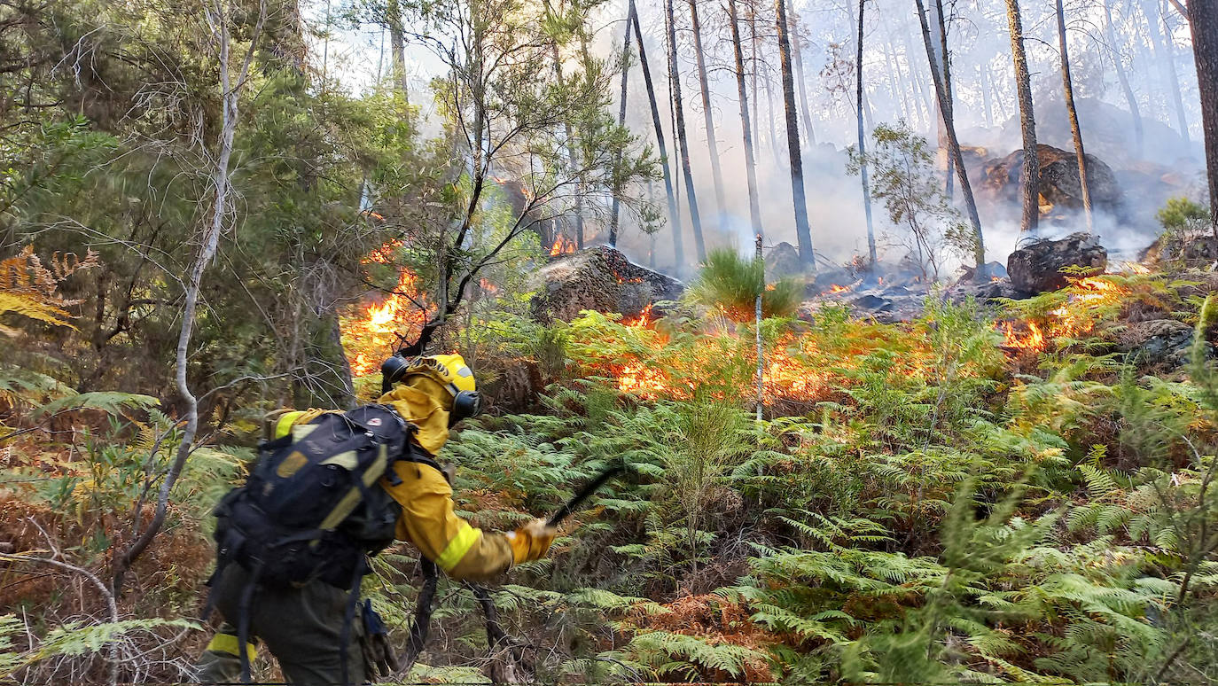 Fotos: Incendio en Santa Cruz del Valle