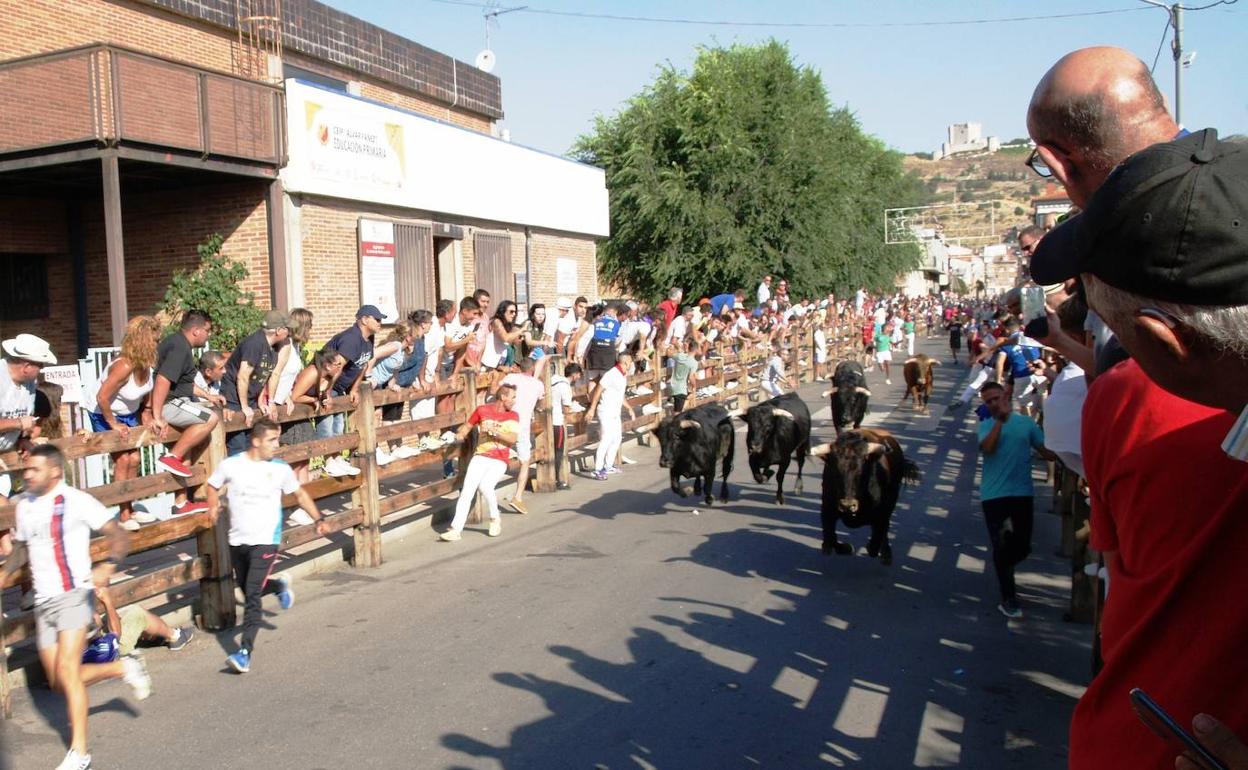 Encierro urbano celebrado este sábado en Íscar.