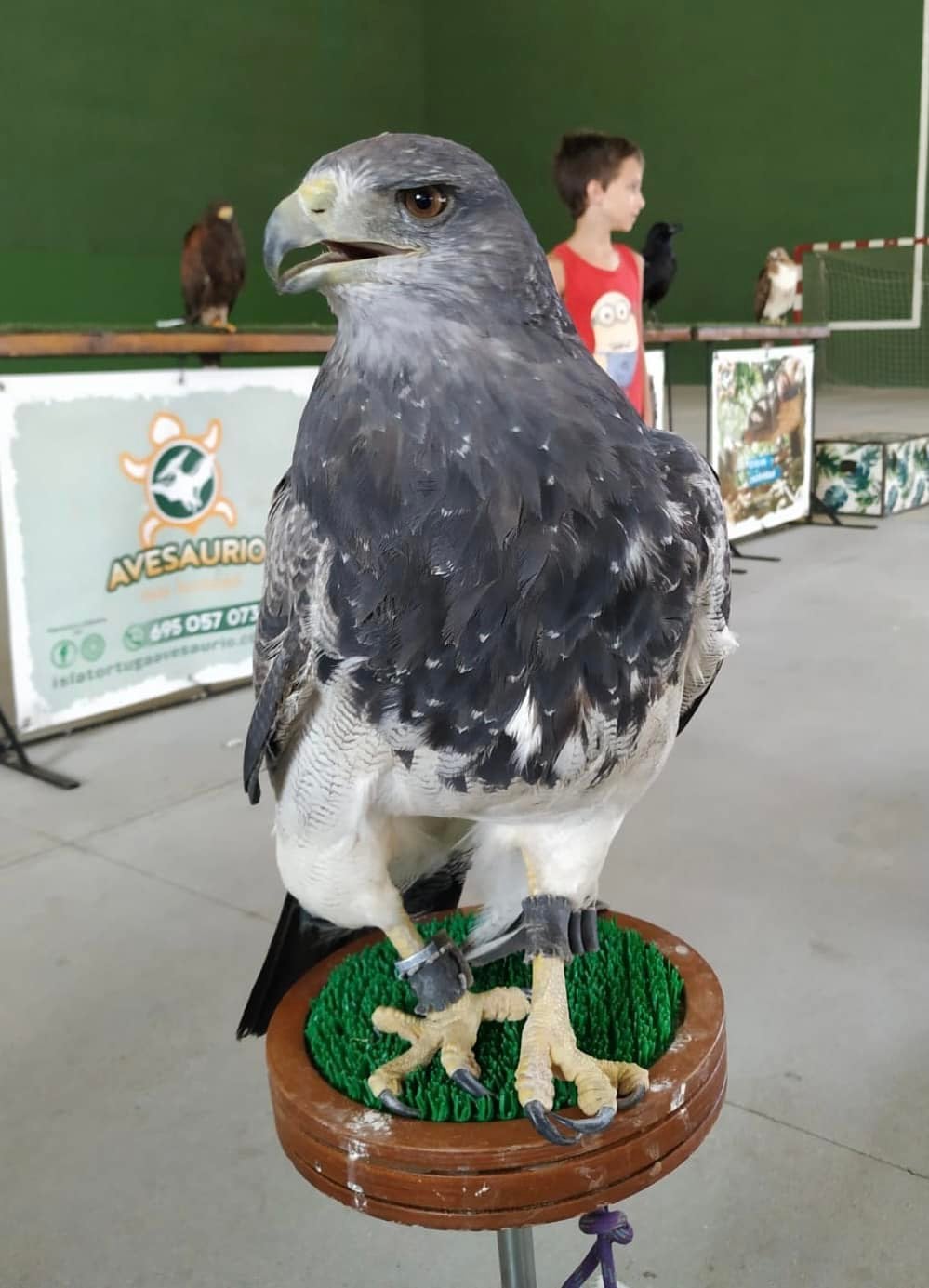 Fotos: Doñinosde Salamanca disfruta de sus fiestas pese al calor