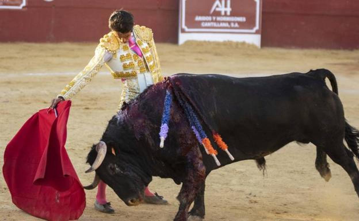 Ruiz Muñoz toreará en Navalmanzano. 