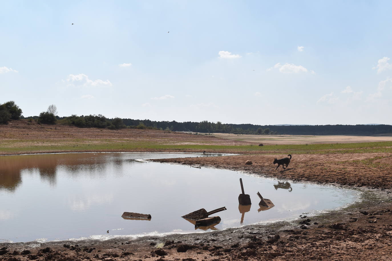 Fotos: La sequía muestra signos alarmantes en el pantano de Aguilar