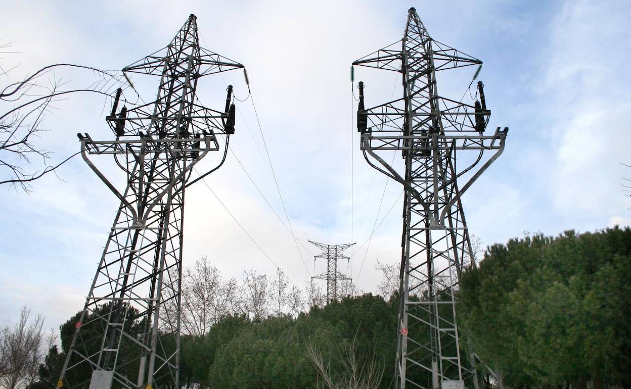 El choque de aves con los cables de líneas de alta tensión provoca numerosos accidentes.