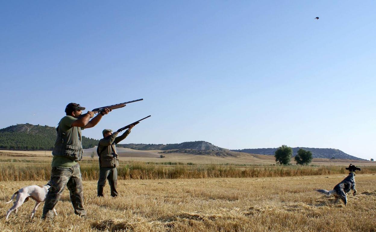 Cazadores en Olmos de Esgueva en la apertura de la media veda para la codorniz. 