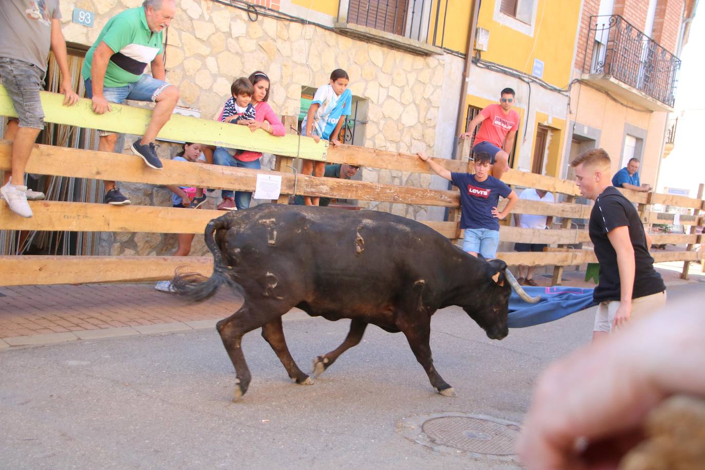 Fotos: Los primeros encierros en Palencia después de un parón de dos años