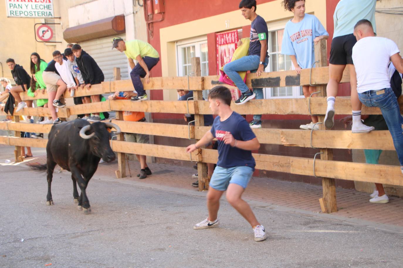 Fotos: Los primeros encierros en Palencia después de un parón de dos años