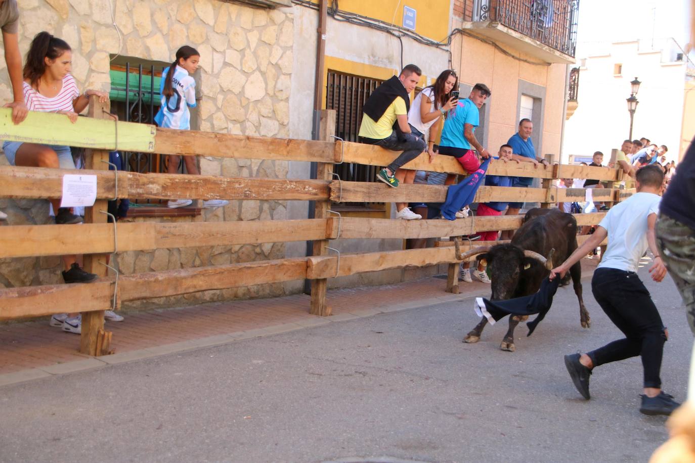Fotos: Los primeros encierros en Palencia después de un parón de dos años