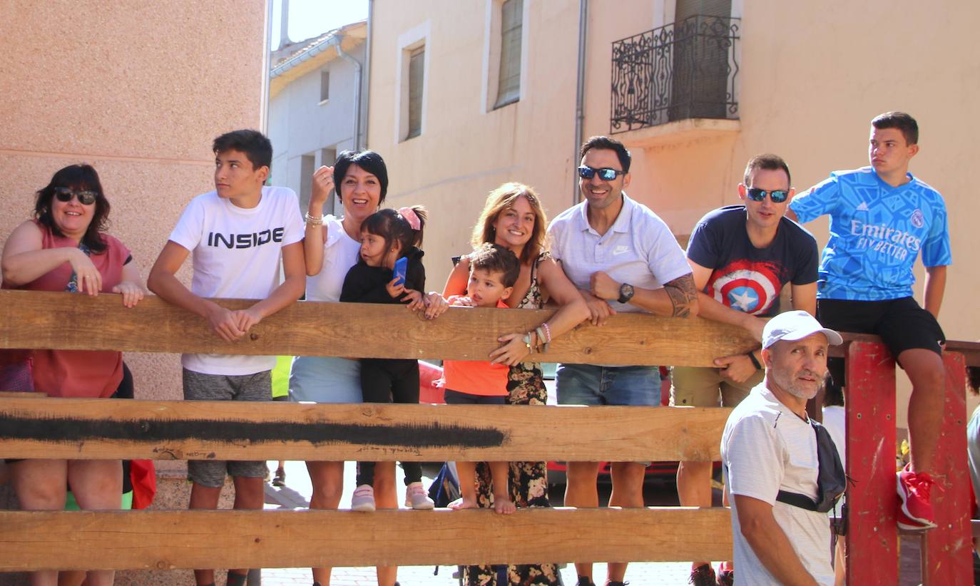 Fotos: Los primeros encierros en Palencia después de un parón de dos años