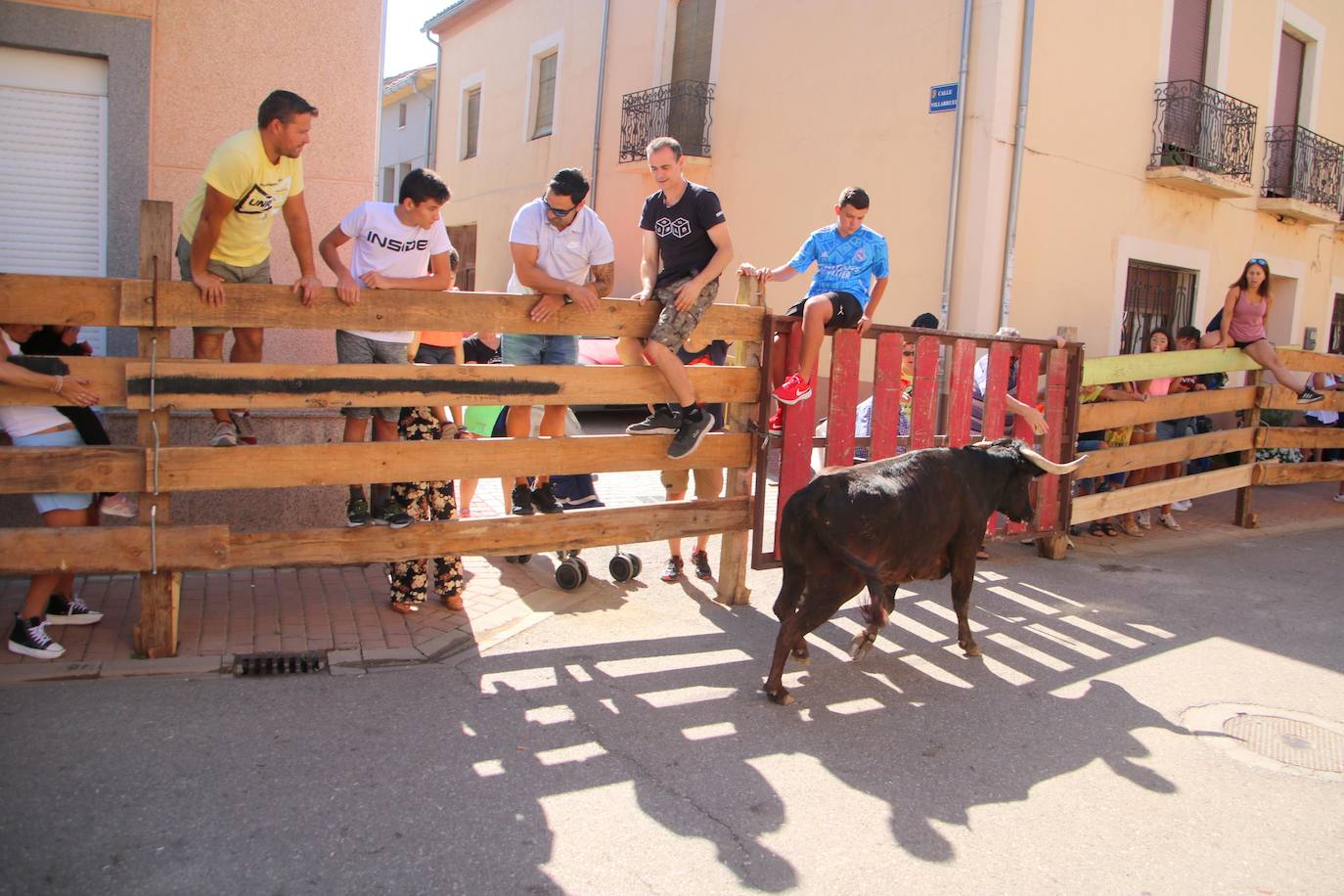Fotos: Los primeros encierros en Palencia después de un parón de dos años