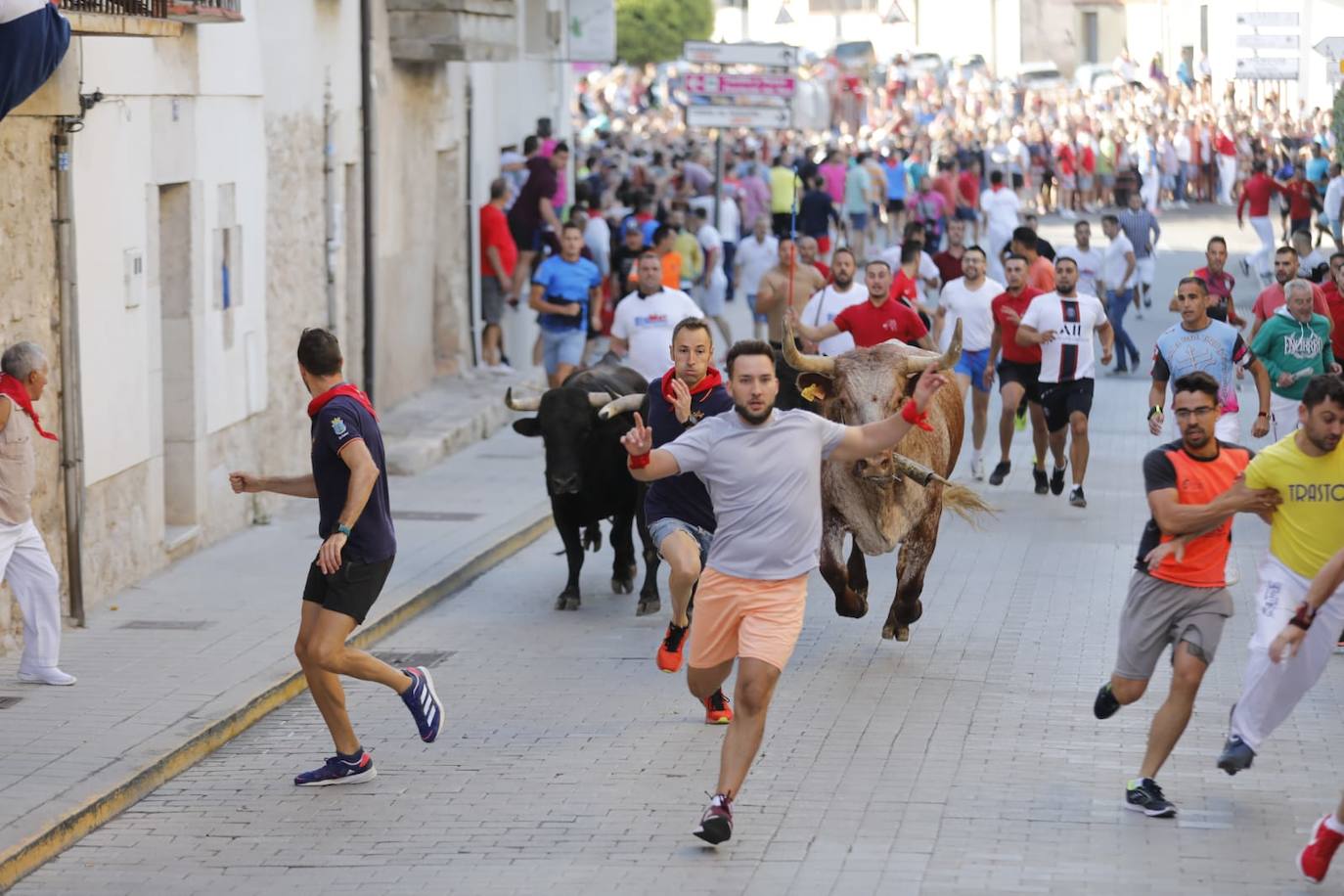 Fotos: El primer encierro de las fiestas de Peñafiel, en imágenes