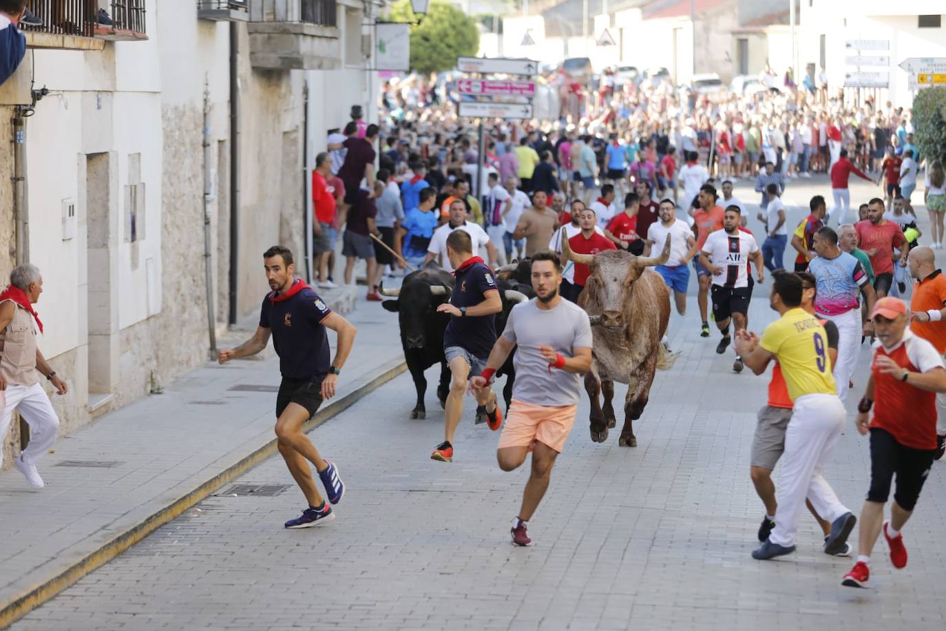 Fotos: El primer encierro de las fiestas de Peñafiel, en imágenes