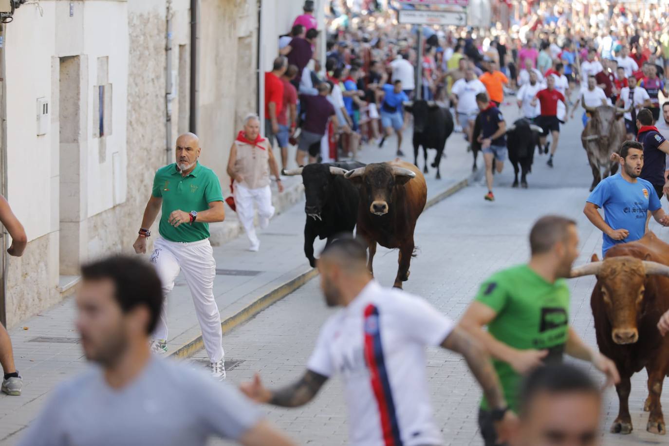 Fotos: El primer encierro de las fiestas de Peñafiel, en imágenes