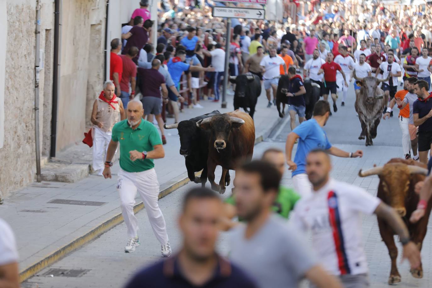 Fotos: El primer encierro de las fiestas de Peñafiel, en imágenes